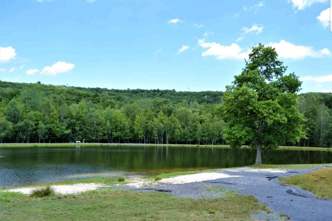 *Amenity-Filled Waterfront Oasis @Saw Creek Estates Near Waterfalls And Hiking* East Stroudsburg Exteriér fotografie