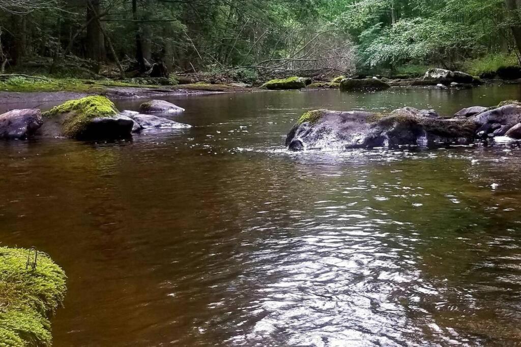 *Amenity-Filled Waterfront Oasis @Saw Creek Estates Near Waterfalls And Hiking* East Stroudsburg Exteriér fotografie