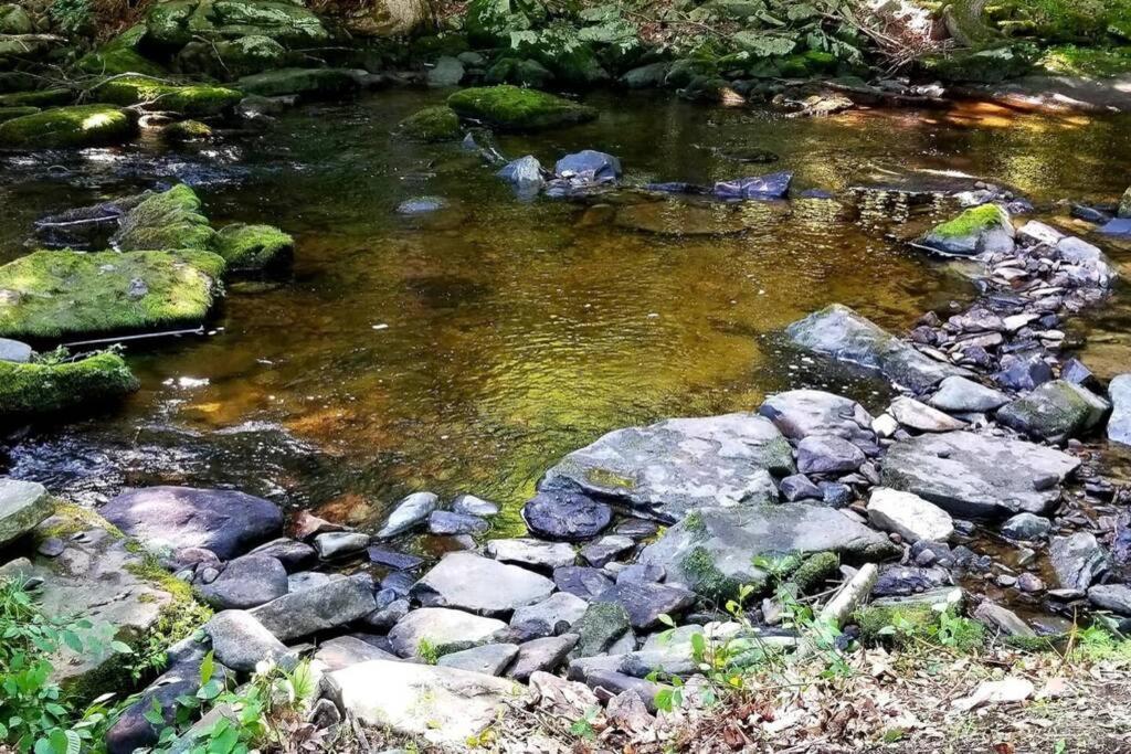 *Amenity-Filled Waterfront Oasis @Saw Creek Estates Near Waterfalls And Hiking* East Stroudsburg Exteriér fotografie